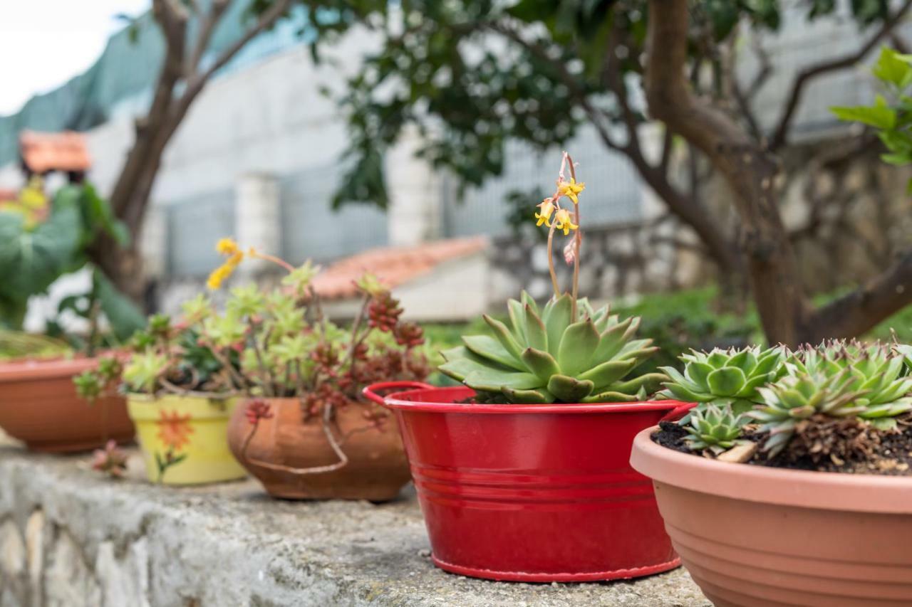 Apartments Rogulj トロギール エクステリア 写真